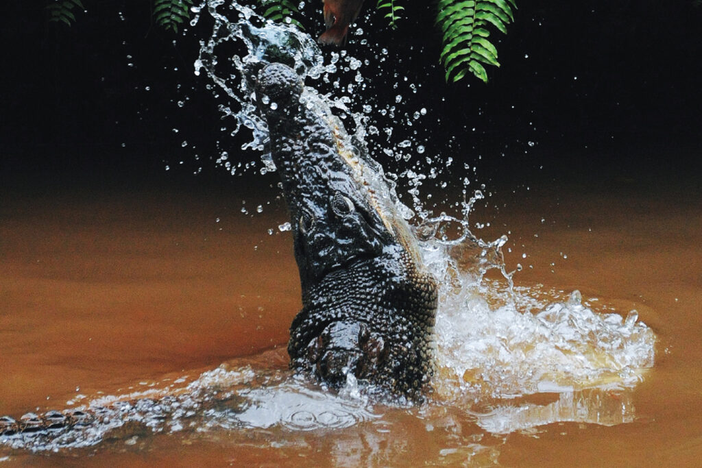 Luxury Tour in Peru: Explore Amazon, Sacred Valley, Machu Picchu in 10 Days