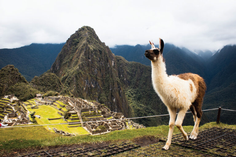 Sacred Valley, 1-Day Inca Trail to Machu Picchu & Lake Titicaca (9 Days)