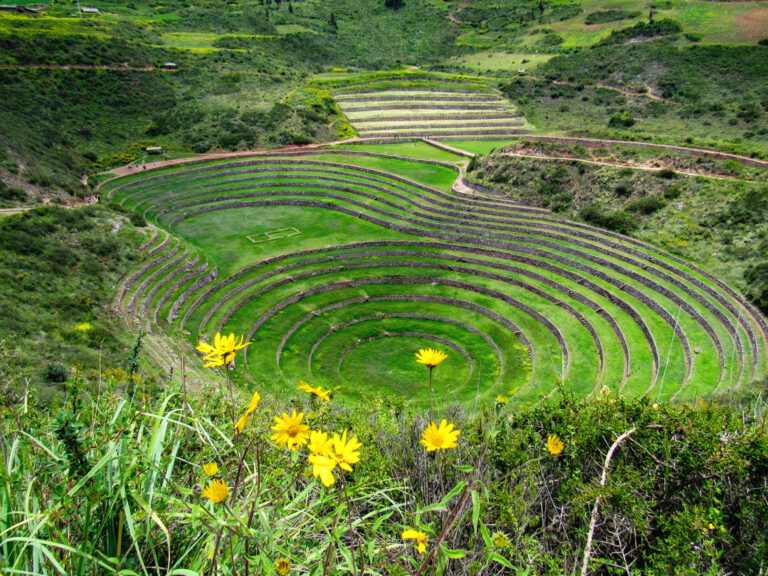 Moray