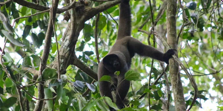 16-Day Private Journey Through Peru’s Coast, Amazon, Andes & Lake Titicaca
